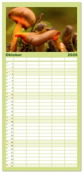 Produktbild: Familienplaner 2026 - Wundersame Pilzwelten mit 5 Spalten (Wandkalender, 21 x 45 cm) CALVENDO