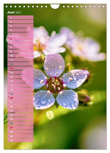 Produktbild: Bunte Augenblicke (Wandkalender 2027 DIN A4 hoch), CALVENDO Monatskalender