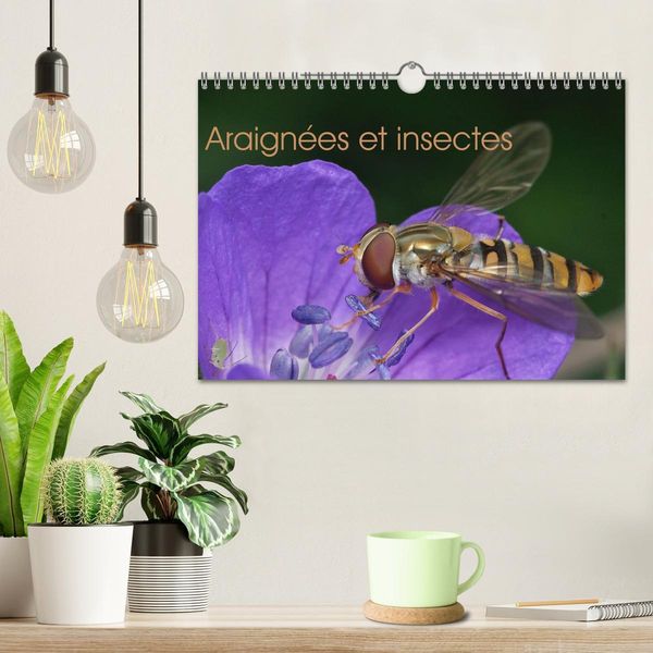 Produktbild: Araign&eacute;es et insectes (Calendrier mural 2026 DIN A4 vertical), CALVENDO calendrier mensuel