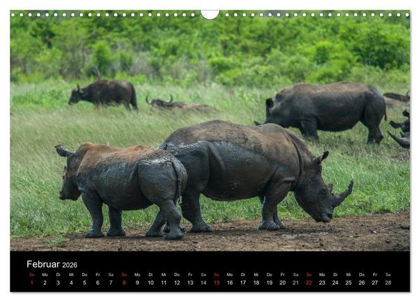 Produktbild: S&uuml;dafrika (Wandkalender 2026 DIN A3 quer), CALVENDO Monatskalender