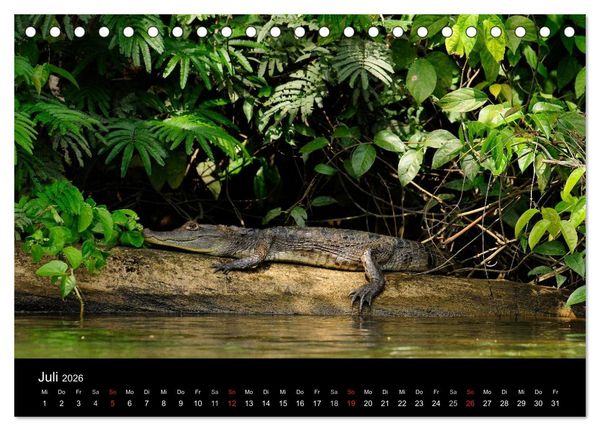 Produktbild: REPTILIEN (Tischkalender 2026 DIN A5 quer), CALVENDO Monatskalender