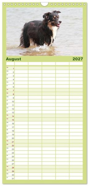 Produktbild: Familienplaner 2027 - Australian Shepherd - H&uuml;tehunde mit Familienanschluss mit 5 Spalten (Wandkalender, 21 x 45 cm) CALVENDO