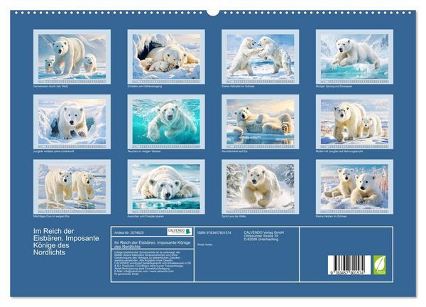 Produktbild: Im Reich der Eisb&auml;ren. Imposante K&ouml;nige des Nordlichts (hochwertiger Premium Wandkalender 2026 DIN A2 quer), Kunstdruck in Hochglanz