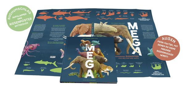 Produktbild: MEGA
