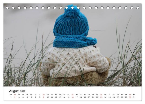 Produktbild: Teddys...jeder liebt sie (Tischkalender 2026 DIN A5 quer), CALVENDO Monatskalender