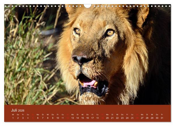 Produktbild: Namibia (Wandkalender 2026 DIN A3 quer), CALVENDO Monatskalender
