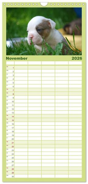 Produktbild: Familienplaner 2026 - Bulldoggen-Kinder mit 5 Spalten (Wandkalender, 21 x 45 cm) CALVENDO