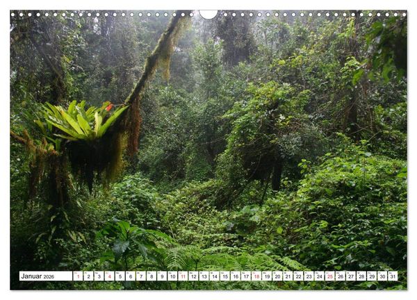 Produktbild: Madagaskar (Wandkalender 2026 DIN A3 quer), CALVENDO Monatskalender