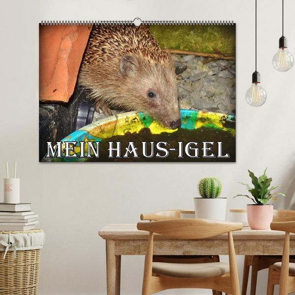 Produktbild: Mein Haus-Igel (Wandkalender 2026 DIN A2 quer), CALVENDO Monatskalender