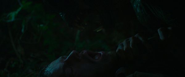 Produktbild: Orang Ikan