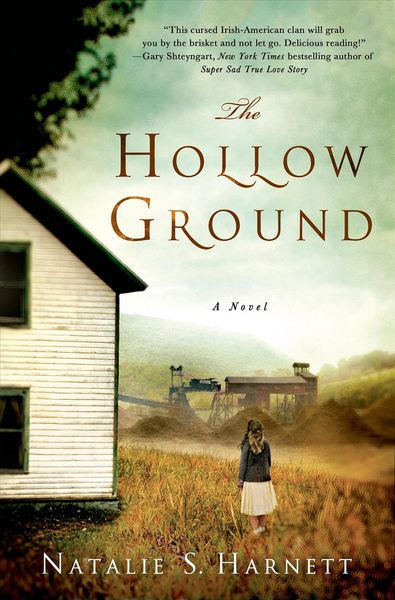 Produktbild: Hollow Ground