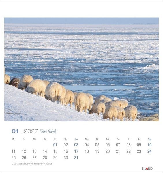 Produktbild: Extra Schaf Postkartenkalender 2027