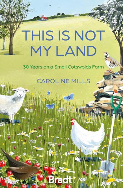 Produktbild: This is not my land