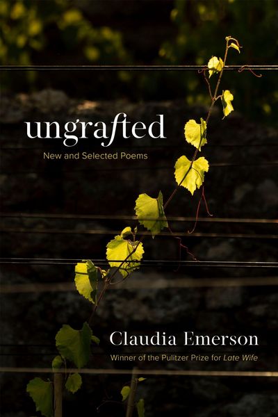 Produktbild: Ungrafted