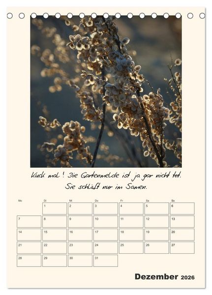 Produktbild: Gartengeschichten (Tischkalender 2026 DIN A5 hoch), CALVENDO Monatskalender