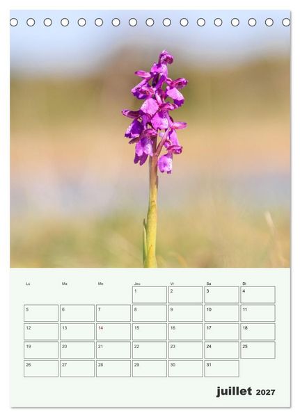 Produktbild: Fleurs en toute simplicit&eacute; - Beaut&eacute; minimaliste (Calendrier de bureau 2027 DIN A5 horizontal), CALVENDO calendrier mensuel