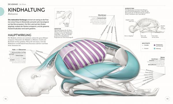 Produktbild: Yoga verstehen - Die Anatomie der Yoga-Haltungen