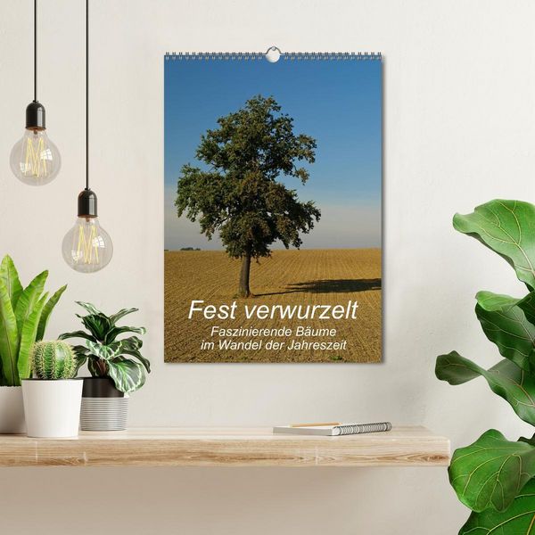 Produktbild: Fest verwurzelt - Faszinierende B&auml;ume im Wandel der Jahreszeit (Wandkalender 2026 DIN A3 hoch), CALVENDO Monatskalender