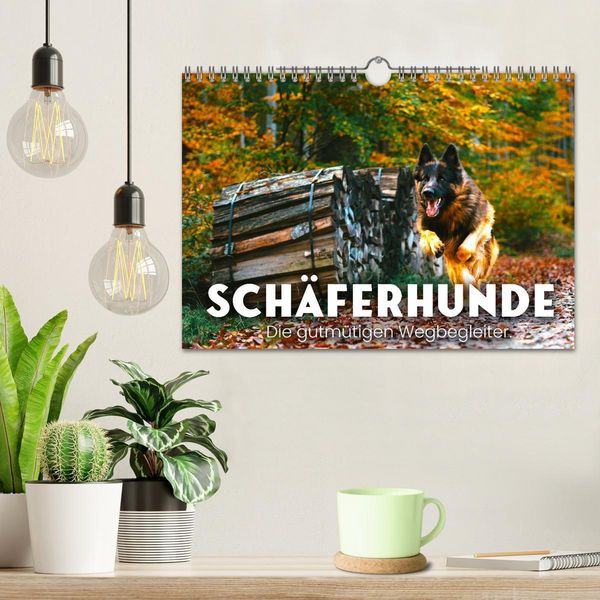 Produktbild: Sch&auml;ferhunde - Die gutm&uuml;tigen Wegbegleiter. (Wandkalender 2026 DIN A4 quer), CALVENDO Monatskalender