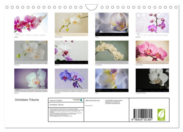 Produktbild: Orchideen Tr&auml;ume (Wandkalender 2026 DIN A4 quer), CALVENDO Monatskalender