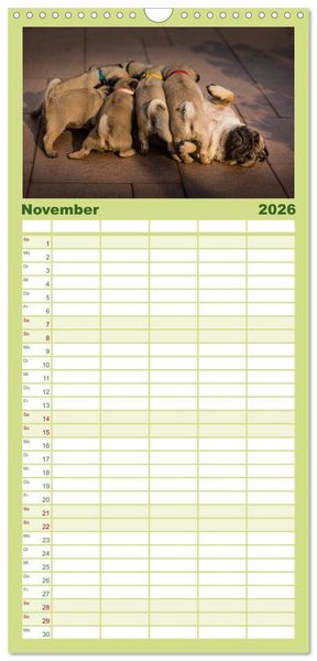Produktbild: Familienplaner 2026 - Mopswelpen mit 5 Spalten (Wandkalender, 21 x 45 cm) CALVENDO
