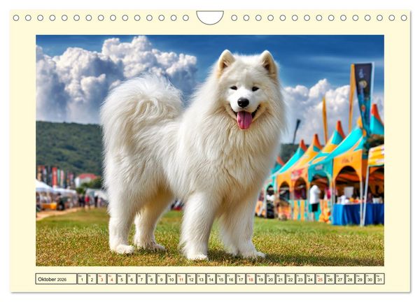 Produktbild: Flauschige Samojeden. Zauberhafte Wolken auf vier Pfoten (Wandkalender 2026 DIN A4 quer), CALVENDO Monatskalender