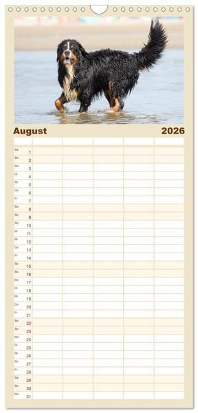 Produktbild: Familienplaner 2026 - Freunde auf vier Pfoten am Strand mit 5 Spalten (Wandkalender, 21 x 45 cm) CALVENDO