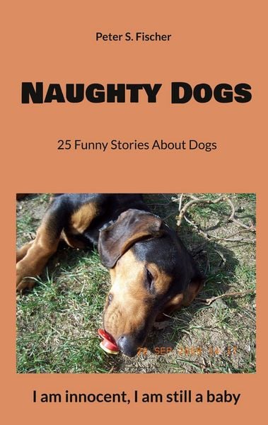 Produktbild: Naughty Dogs