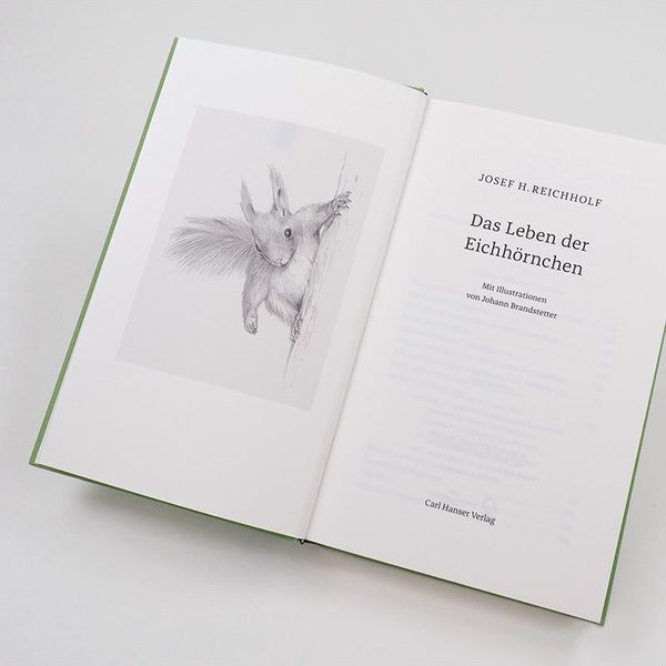 Produktbild: Das Leben der Eichh&ouml;rnchen