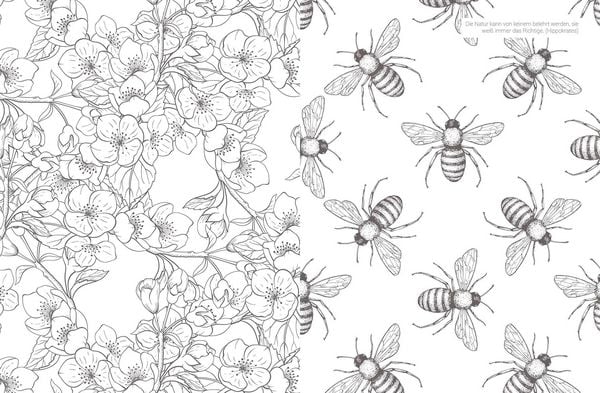 Produktbild: Inspiration Blumenwiese