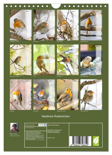 Produktbild: Niedliche Rotkehlchen (Wandkalender 2026 DIN A4 hoch), CALVENDO Monatskalender