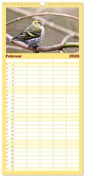 Produktbild: Familienplaner 2026 - Erlenzeisige mit 5 Spalten (Wandkalender, 21 x 45 cm) CALVENDO
