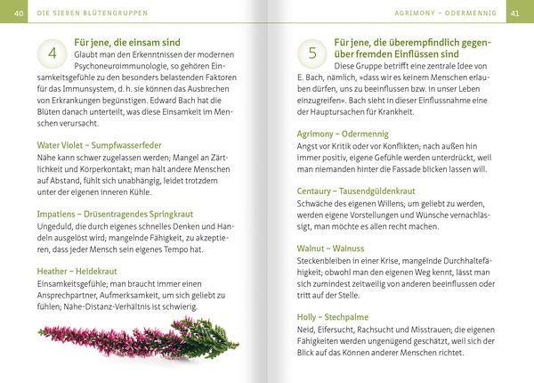Heilen mit Bachblüten. Kompakt-Ratgeber