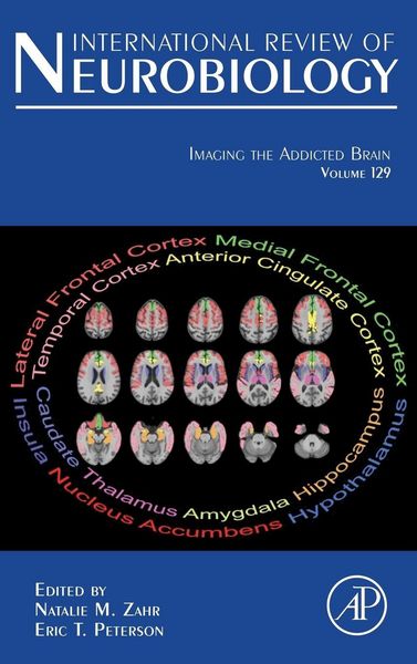 Produktbild: Imaging the Addicted Brain