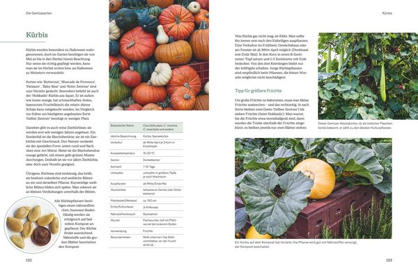 Produktbild: Der optimale Gem&uuml;segarten