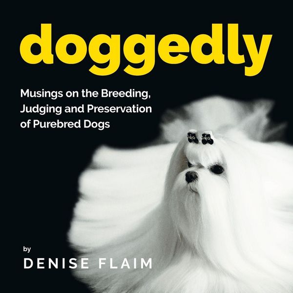 Produktbild: Doggedly