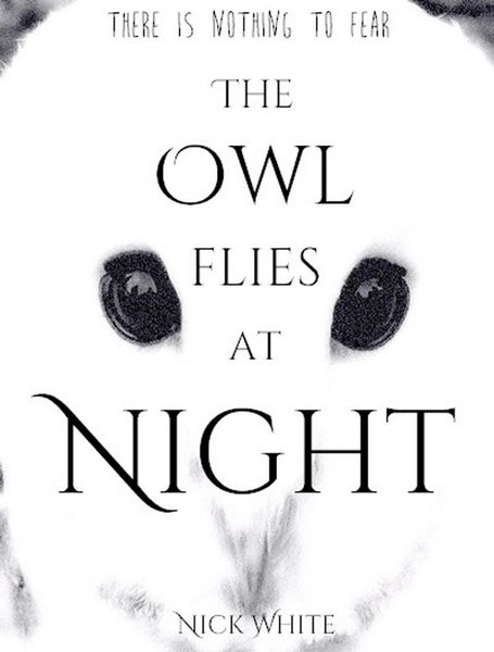 Produktbild: The Owl Flies at Night