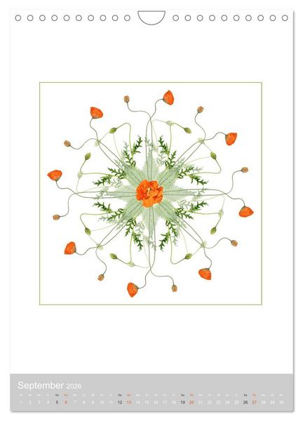 Produktbild: Pflanzen - Mandalas aus Bl&uuml;ten und Bl&auml;ttern (Wandkalender 2026 DIN A4 hoch), CALVENDO Monatskalender
