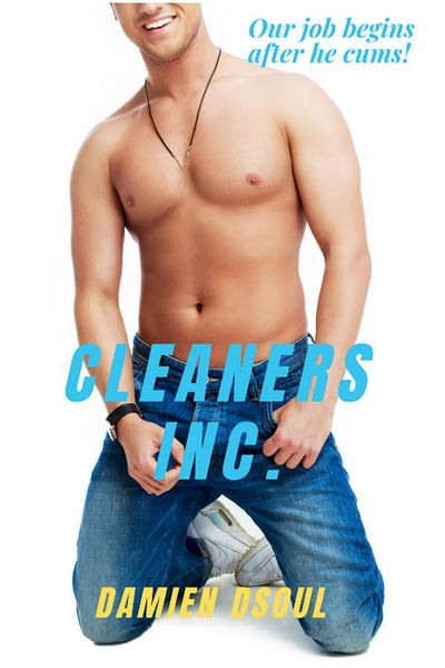 Produktbild: Cleaners Inc.