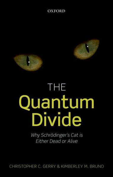 Produktbild: The Quantum Divide