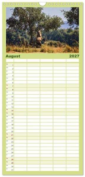 Produktbild: Familienplaner 2027 - Sambias gro&szlig;artige Tierwelt mit 5 Spalten (Wandkalender, 21 x 45 cm) CALVENDO