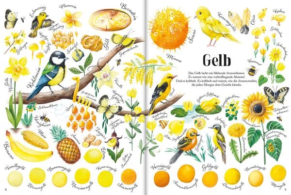 Produktbild: So bunt ist die Natur!