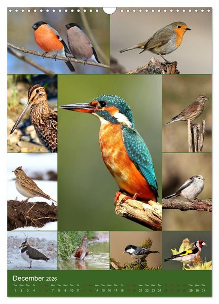 Produktbild: 78 Birds (Wall Calendar 2026 DIN A3 portrait), CALVENDO 12 Month Wall Calendar