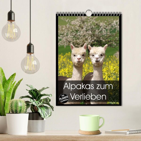 Produktbild: Alpakas zum Verlieben (Wandkalender 2026 DIN A4 hoch), CALVENDO Monatskalender