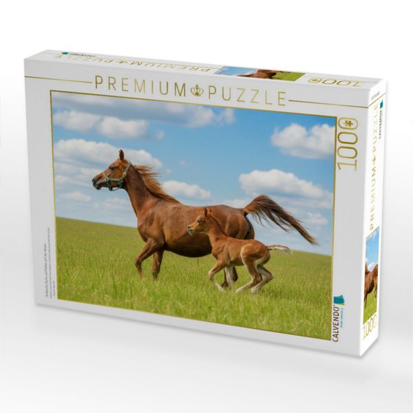 Produktbild: CALVENDO Puzzle Arabische Stute und Fohlen auf der Wiese | 1000 Teile Lege-Gr&ouml;&szlig;e 64x48cm Foto-Puzzle f&uuml;r gl&uuml;ckliche Stunden