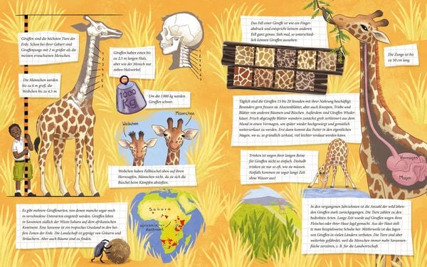 Produktbild: Die kleine Giraffe - Zu Hause in der Savanne