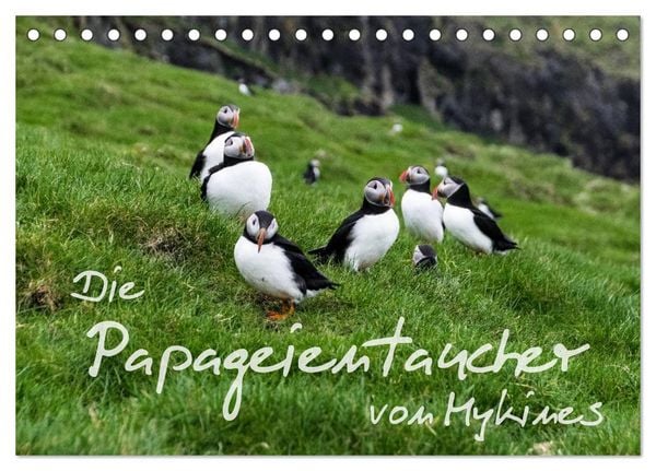 Produktbild: Die Papageientaucher von Mykines (Tischkalender 2026 DIN A5 quer), CALVENDO Monatskalender