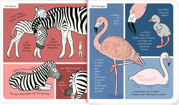 Produktbild: Mein F&uuml;hl-W&ouml;rterbuch: Wilde Tiere (F&uuml;hlen&begr.)
