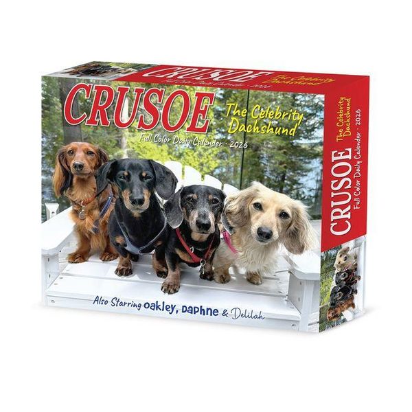 Produktbild: Crusoe the Celebrity Dachshund 2026 Box Calendar