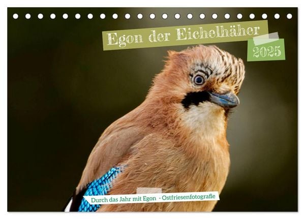 Egon der Eichelhäher - Durch das Jahr mit Egon - von Ostfriesenfotografie (Tischkalender 2025 DIN A5 quer), CALVENDO Mon